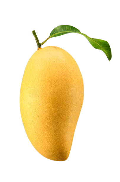 Mango Image